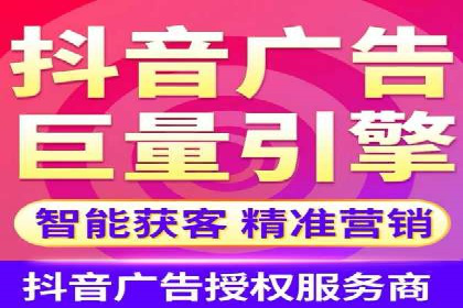 竞价广告在XX行业的成功应用案例